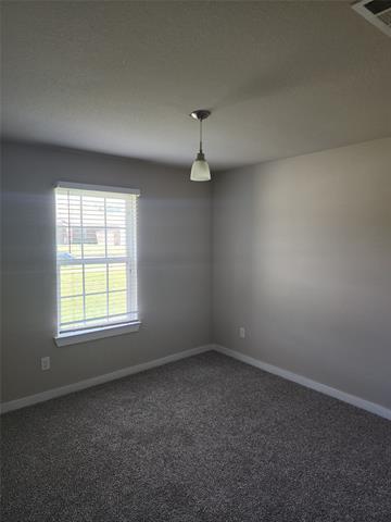 Building Photo - 4225 Andrea Ln