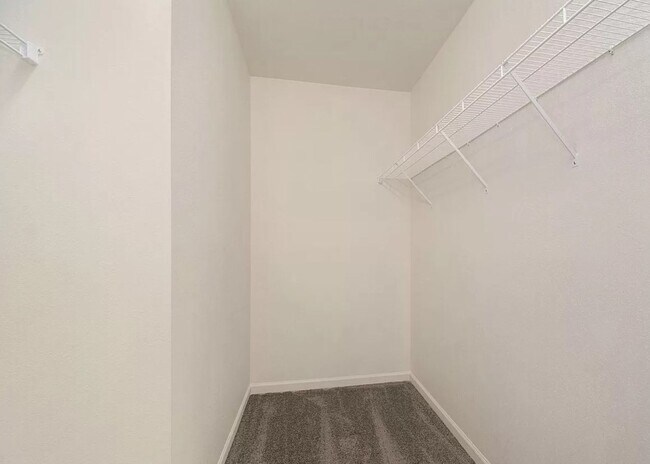 Building Photo - 4 Bedroom Available in Tiburon!