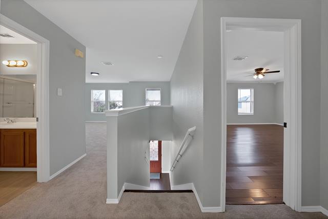 Building Photo - 1003 Ann Dr