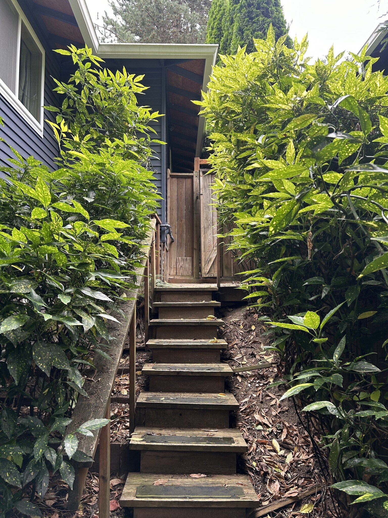 Stairs to Apartment - 25306 170th Pl SE