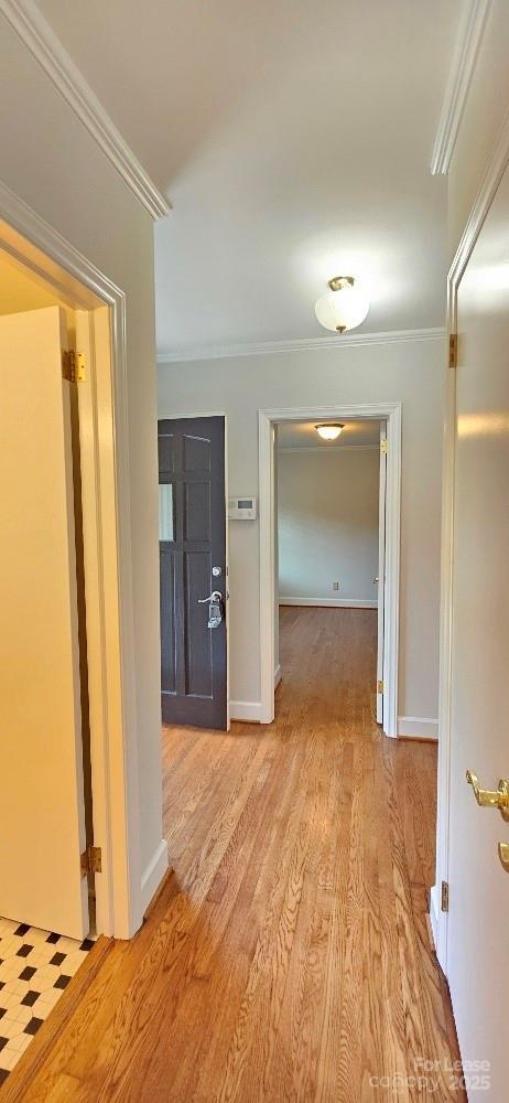 Building Photo - 513 Webster Pl