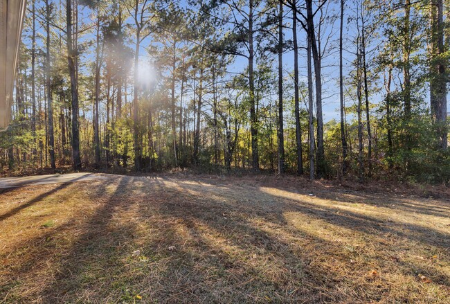 Building Photo - 213 Church Hill Ct