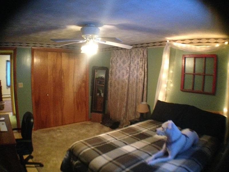 Building Photo - 2305 Lockport Rd