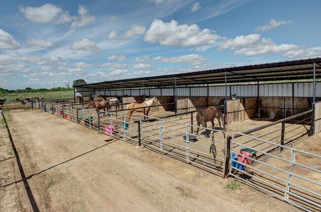 Building Photo - College Station home with stalls and arena on site!