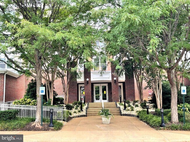 Primary Photo - 1641 International Dr