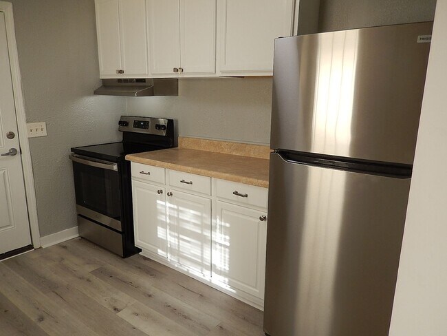 Building Photo - Recently RENOVATED 3/2 w/ Stainless Steel Appliances, Plank Vinyl Throughout, Washer/Dryer, & Lar...