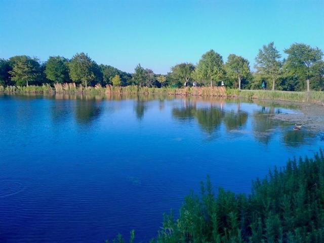 Building Photo - 8221 Grand Canyon Dr