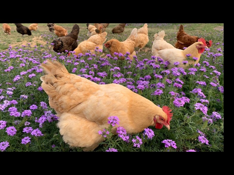 Building Photo - 143 River Ranch Rd