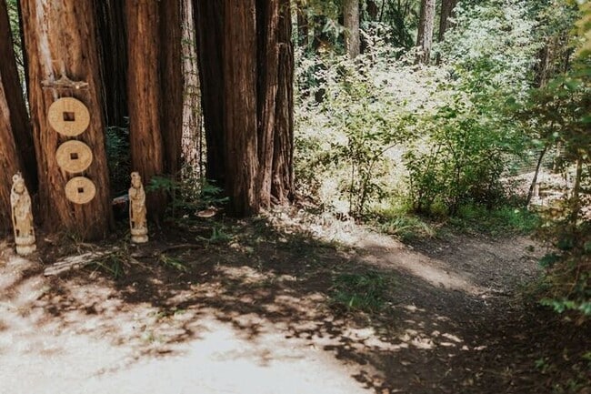 Building Photo - Sunlit Sanctuary in the Redwoods