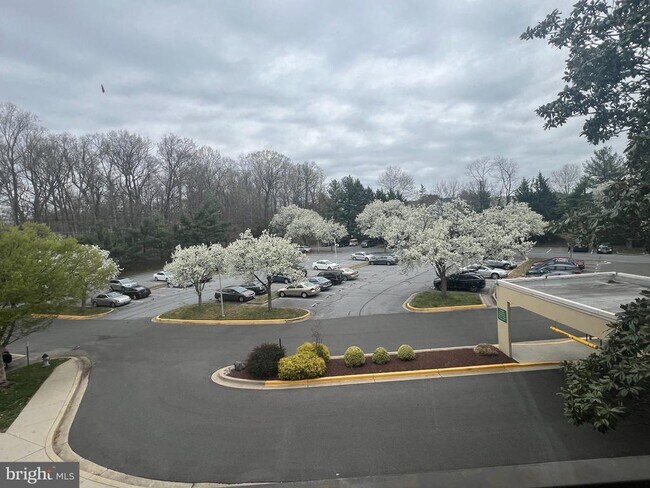 Building Photo - 2921 N Leisure World Blvd