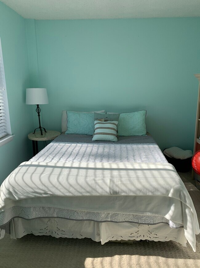 2nd Bedroom - 231 Canal Park Dr