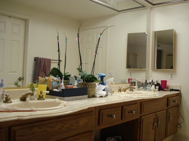 Building Photo - 20405 Via Sonador