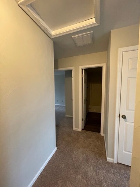 Building Photo - Come visit this cute 3 bedroom 1.5 bath in Chesapeake