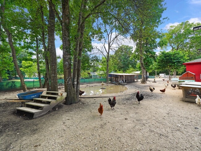 Building Photo - 29 Co Rd 2131