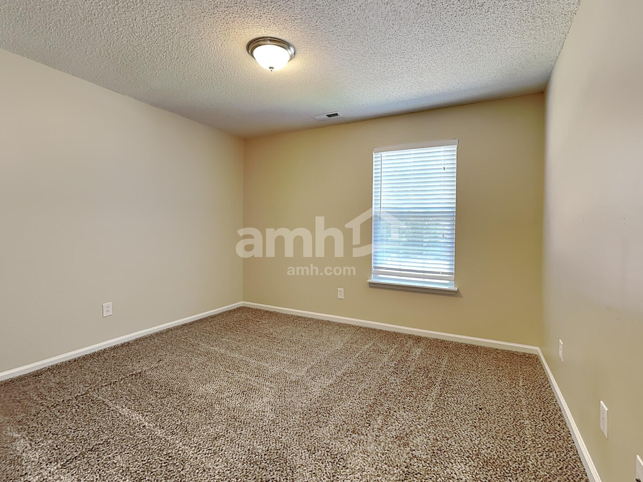 Building Photo - 5013 Springdale Dr