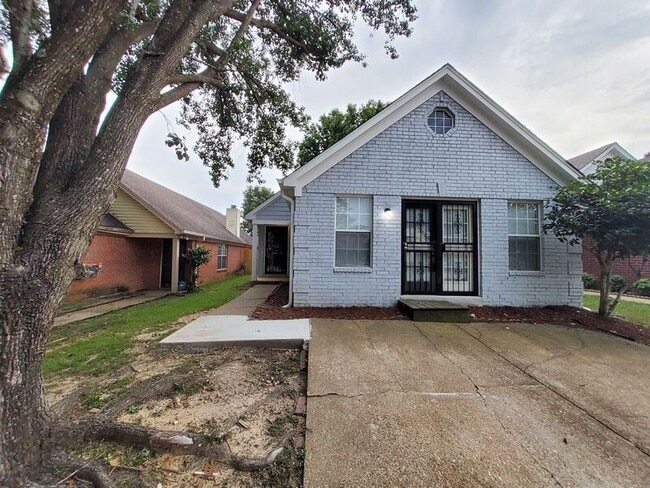 Primary Photo - 317 Avery Jordan Cove