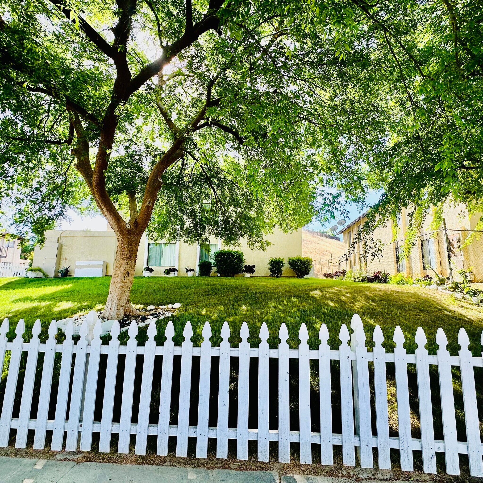 Building Photo - 6005 Hill Dale Ct