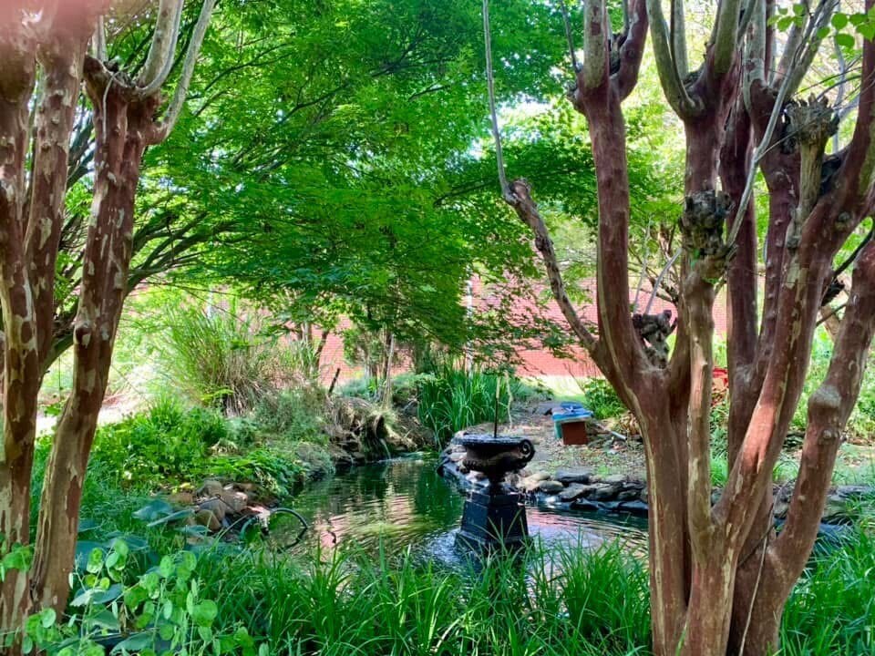 Building Photo - 49 Duke St