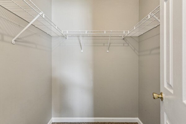 Building Photo - 157 Oak Tree Dr