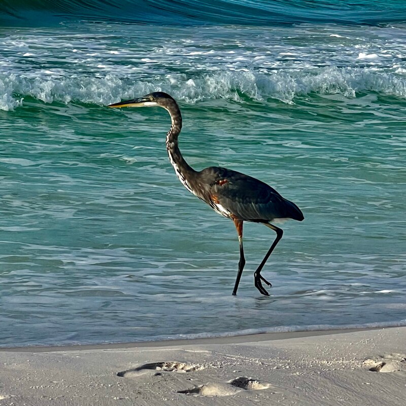 Building Photo - 3755 Scenic Hwy 98