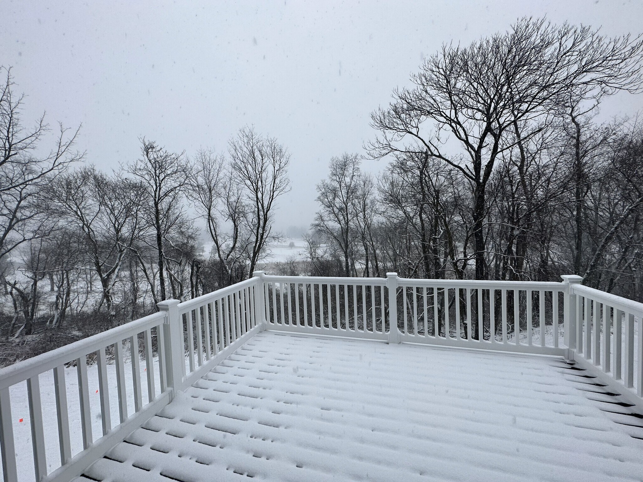 View from backyard - 3212 Vanessa Dr