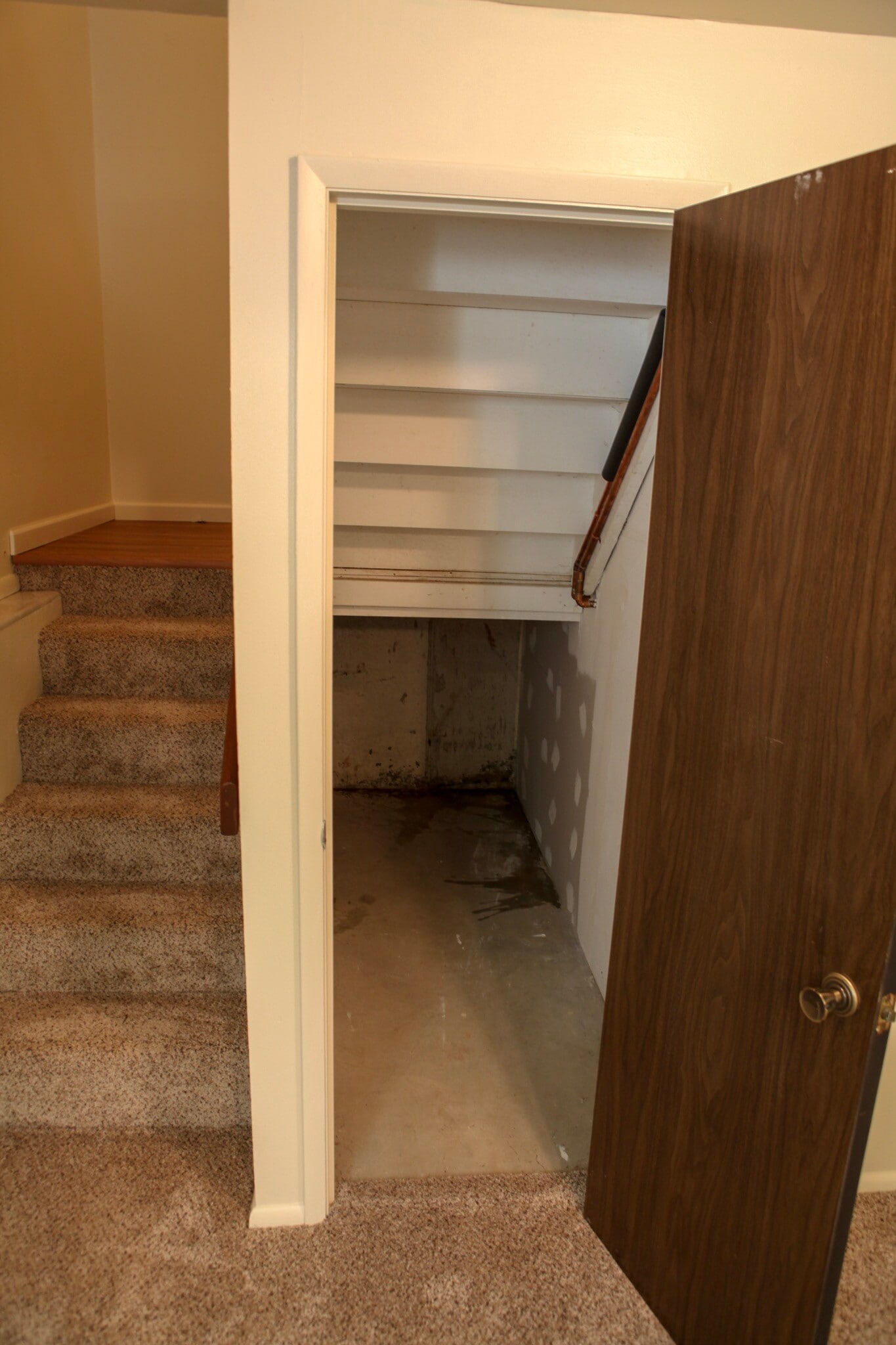 Building Photo - 5171 Green Trace Ln