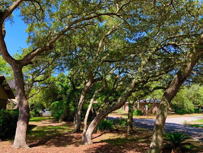 Building Photo - 317 Somerset Dr