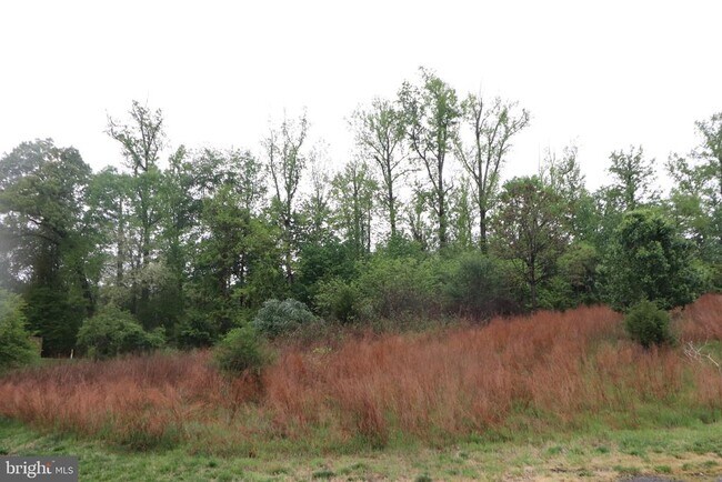 Building Photo - 104 Stingray Ct