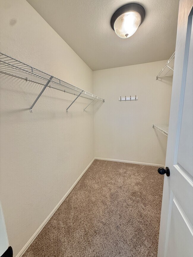 Building Photo - 3442 Curlew Dr