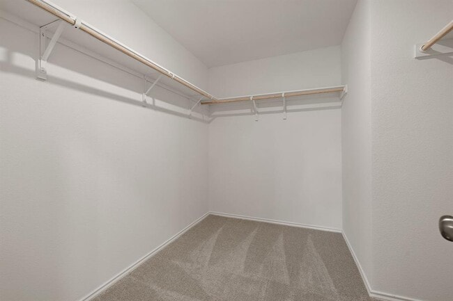 Building Photo - 213 Navidad River Dr