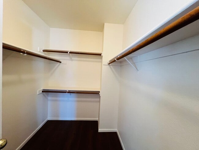 Building Photo - Spacious and Sparkling with New Paint 3 be...