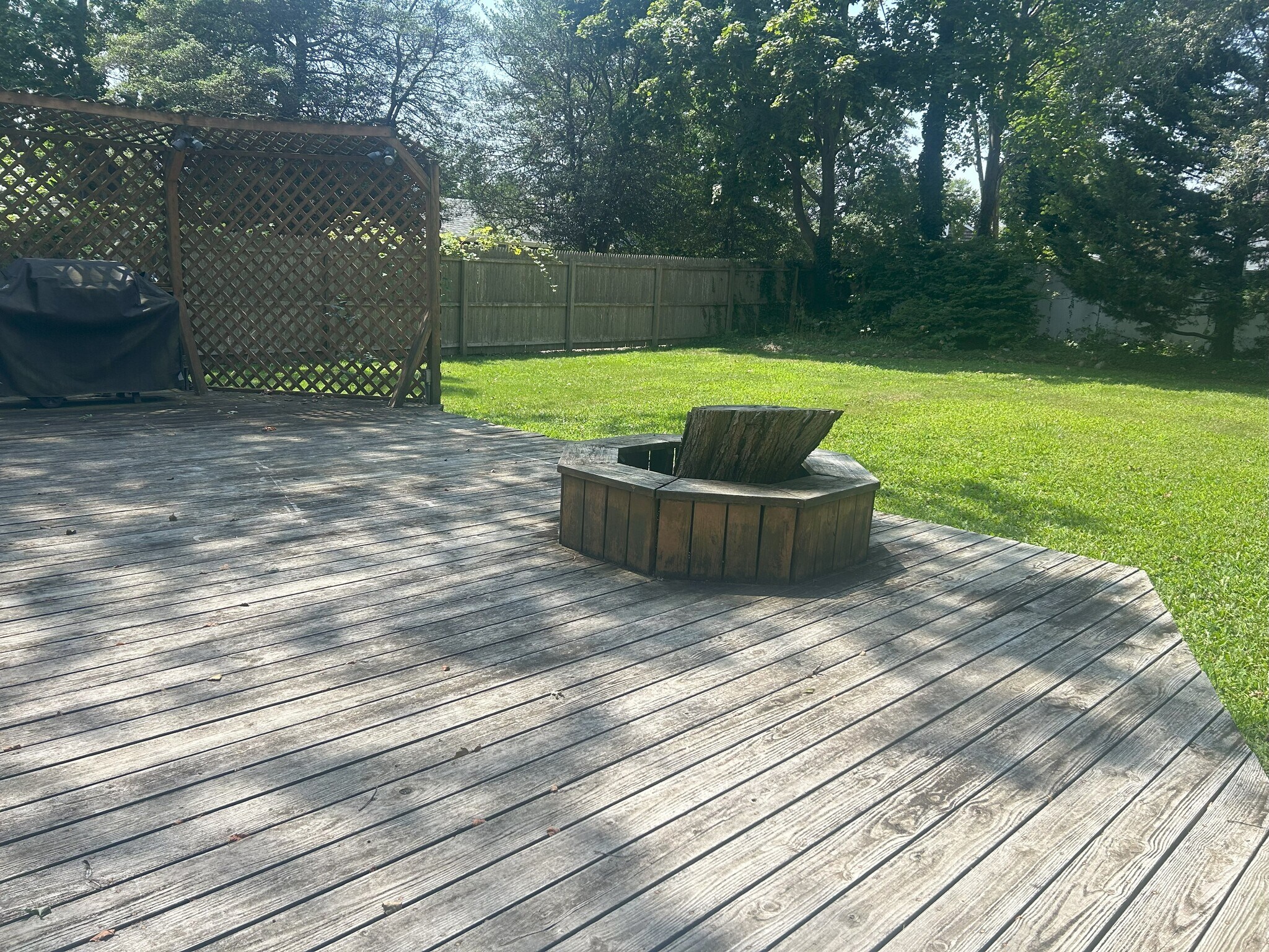 Backyard - 57 Brook St
