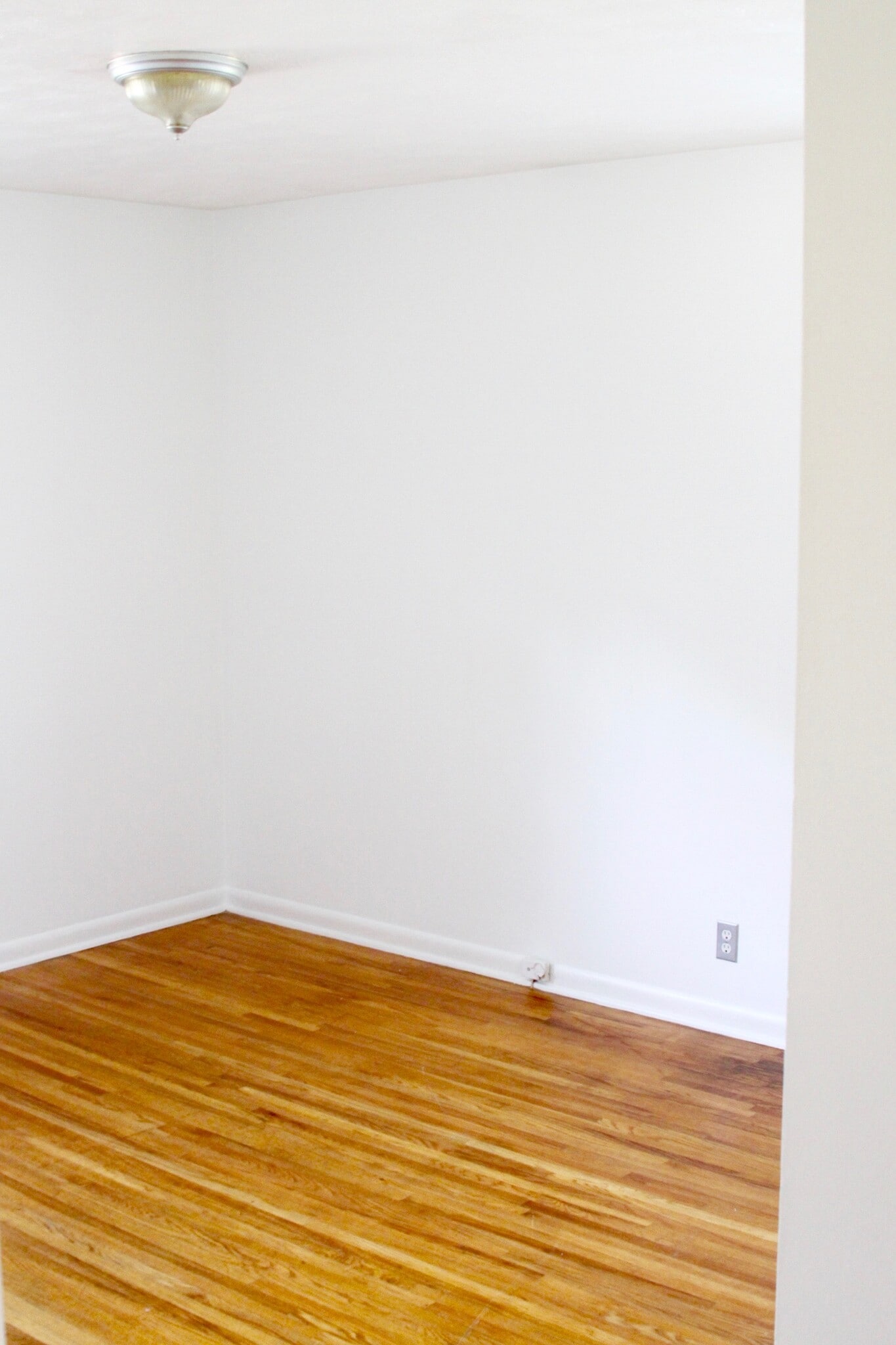 Fresh Paint throughout whole house. - 4807 Jeffery Dr