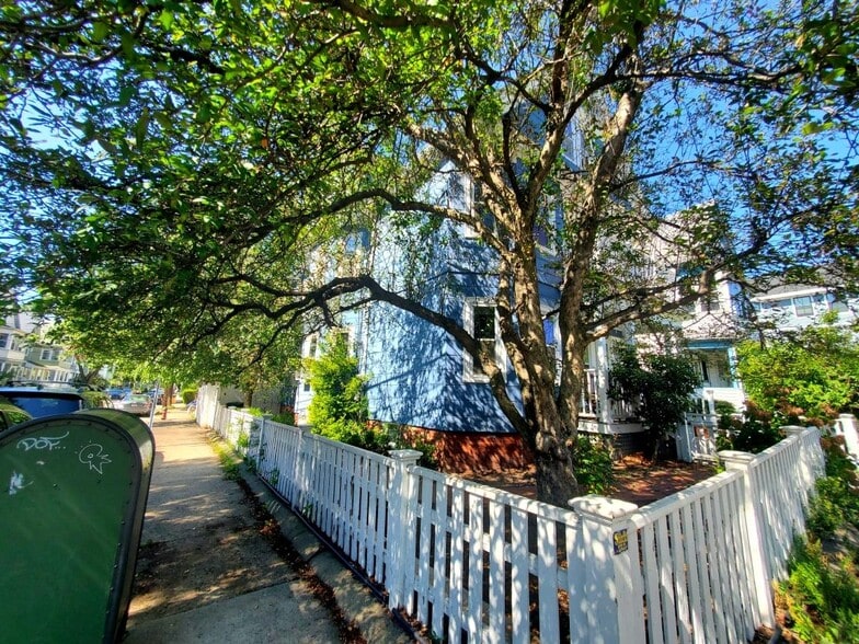 Mature landscaping, flowers and trees - 59 Cameron Ave