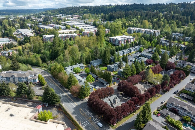 Aerial Photo - Timber Ridge
