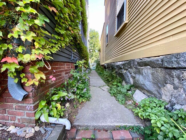 Building Photo - 59 Manning St