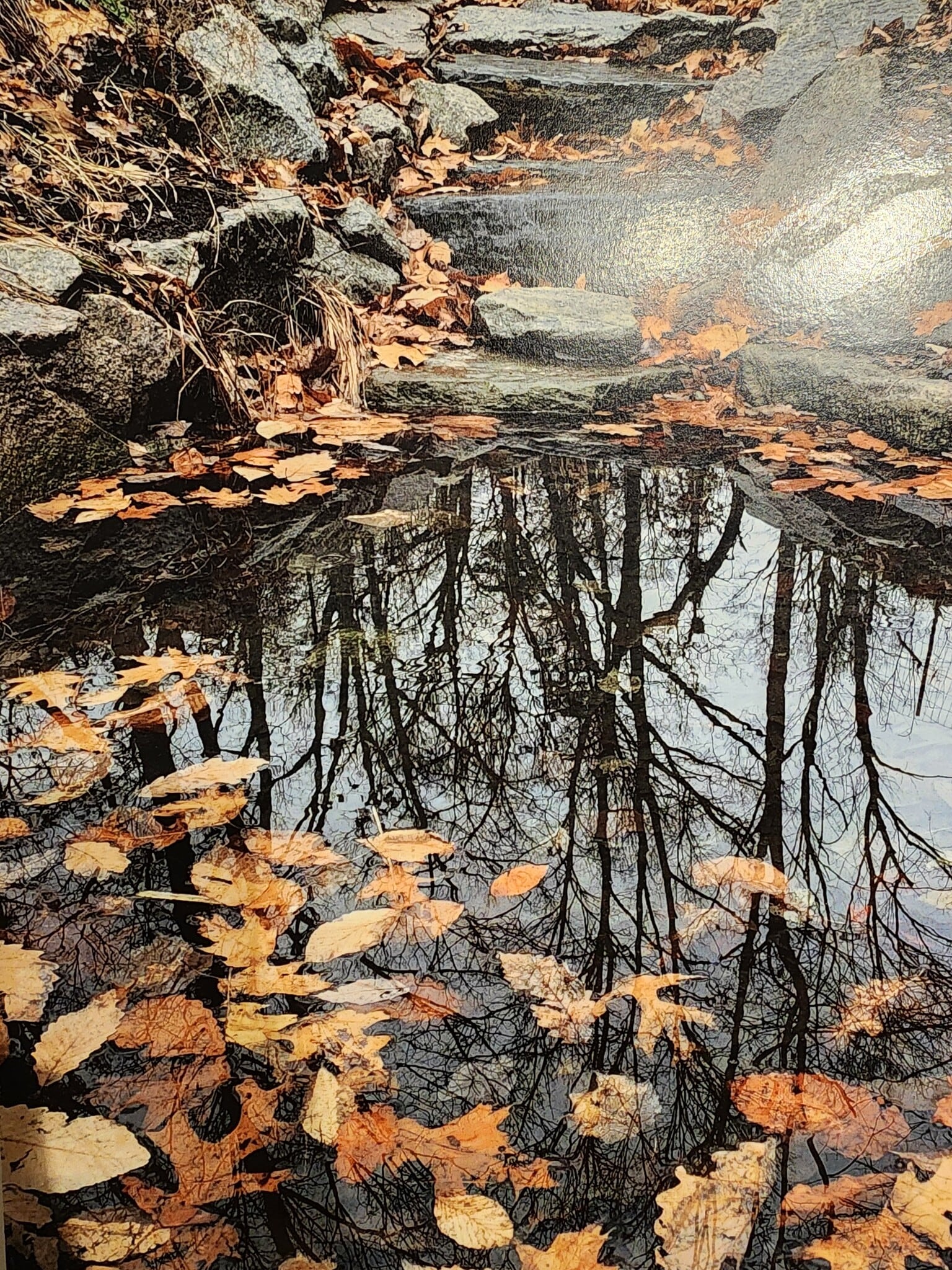 Nature on property - 5901 Mt Eagle Dr