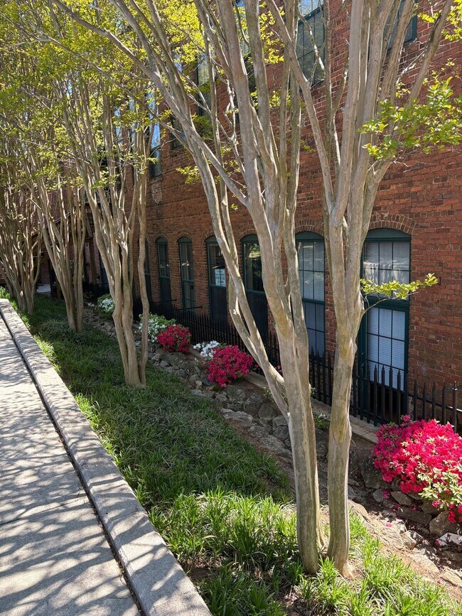 Building Photo - Lovely 2 Bedroom 2 full Bath Historical  Condo in Downtown Easley! Lawn Care and Trash Pickup inc...