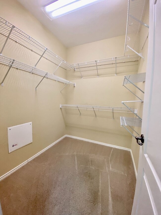Building Photo - Medical Center/USAA/ UTSA 3 BD/2.5 BA Ready for Move In!
