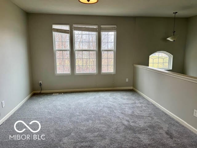 Building Photo - 12687 White Chapel Cir