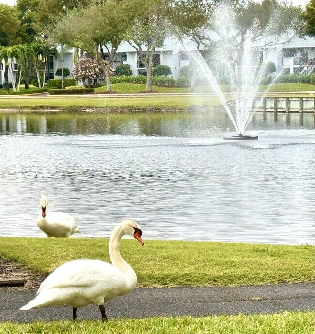 Building Photo - 16843 Boca Delray Dr