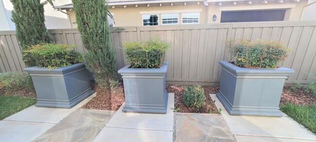Building Photo - Gorgeous 4 Bedroom Model Home in the Cannery