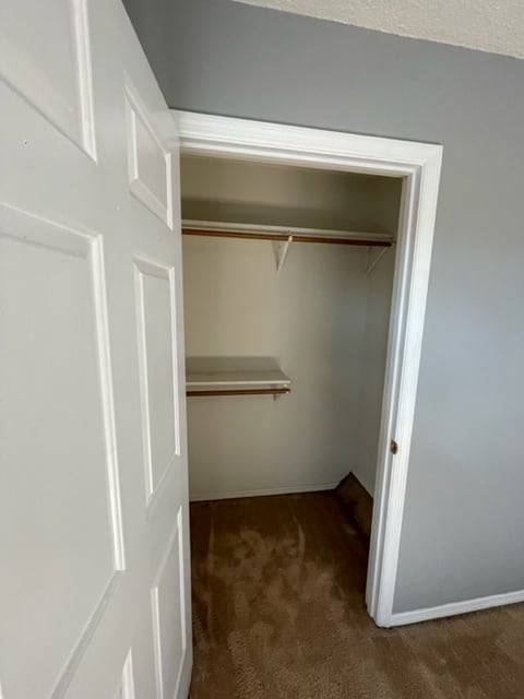 walk in closet - 335 W 12th St