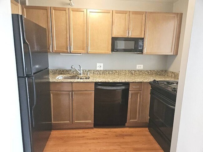 Building Photo - 474 N Lake Shore Dr