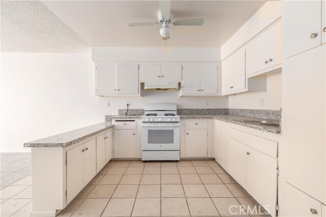 Building Photo - 1017 Lombard Dr
