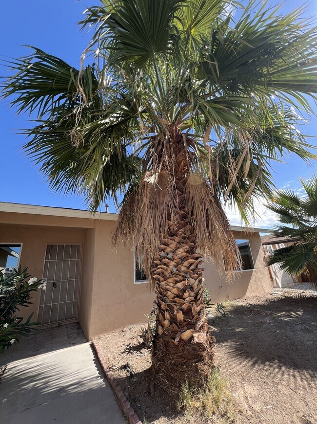 Building Photo - 3608 W Bonanza Rd