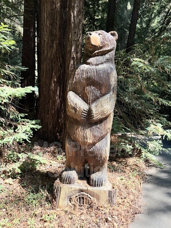 Building Photo - 7079 Lucas Valley Rd