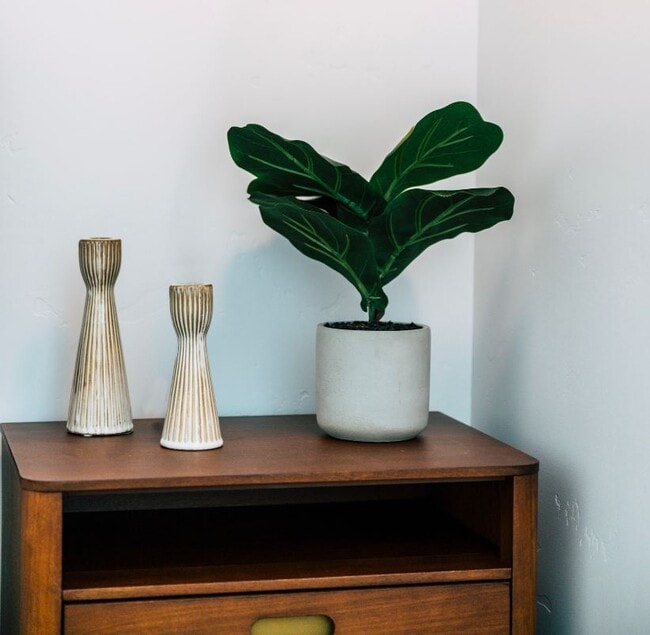 Building Photo - 1428 S Colorado Ave