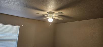 Building Photo - Charming 2-Bedroom - Big Backyard and No Carpet!