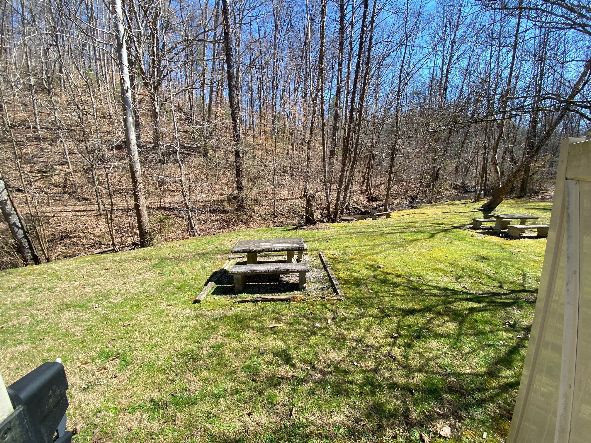 Backyard - 215 Gum Hollow Rd